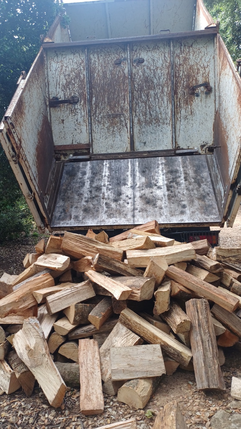 Camion benne ouvert pendant une livraison de bois
